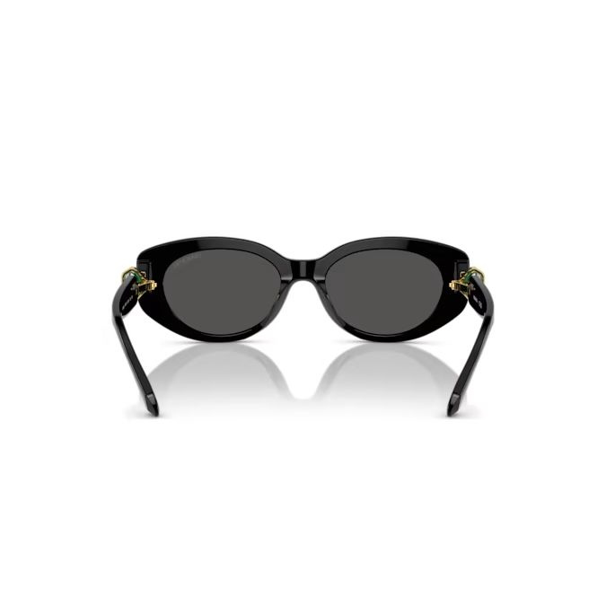 Sunglasses Cat-eye shape, SK6002, Black