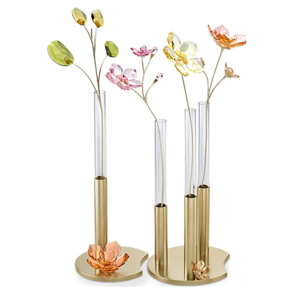 Garden Tales Eucalyptus