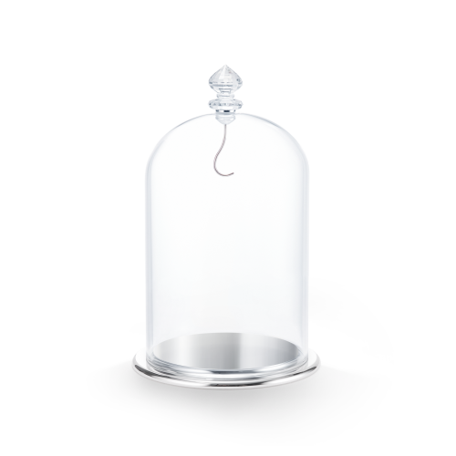 Bell Jar Display, large