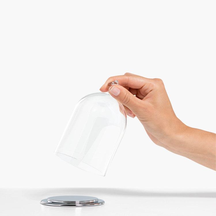 BELL JAR DISPLAY, SMALL