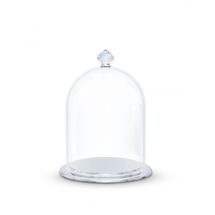 BELL JAR DISPLAY, SMALL