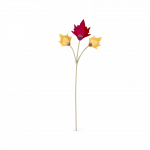 Garden Tales Autumn Leaves