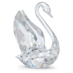 Signum Swan, Medium