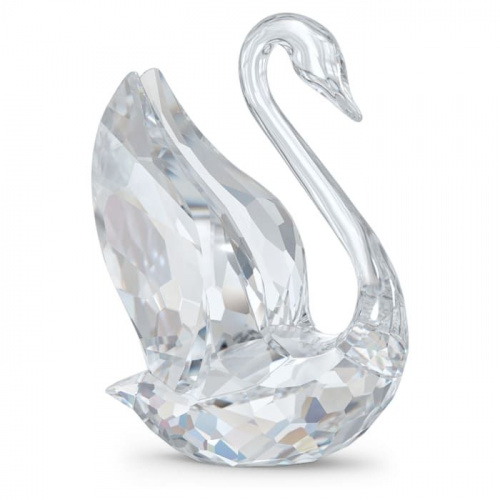 Signum Swan, Medium