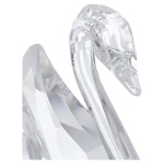 Signum Swan, Medium