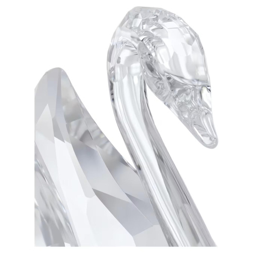 Signum Swan, Medium