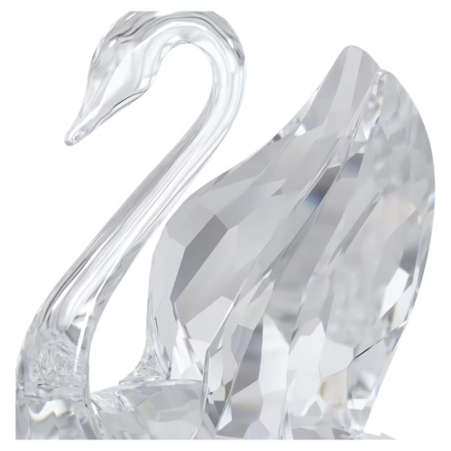Signum Swan, Small