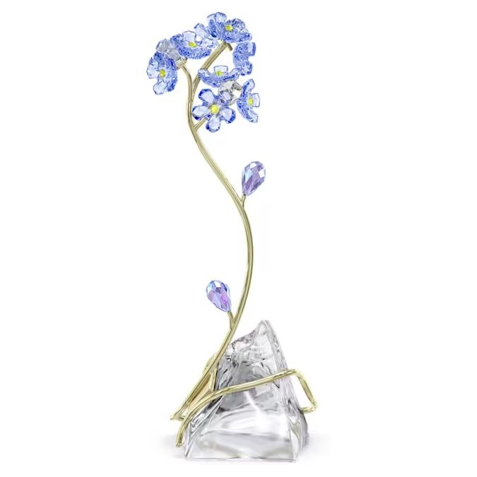 Florere Forget-me-not