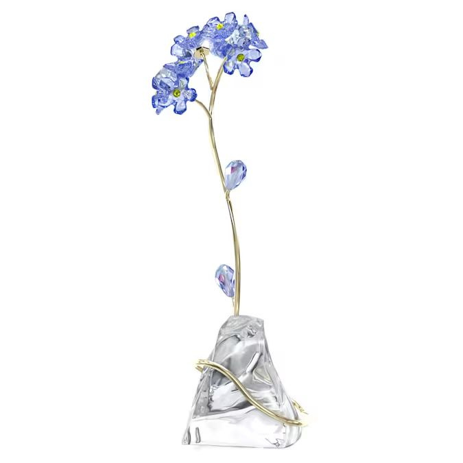 Florere Forget-me-not