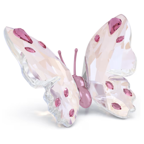 Idyllia Butterfly Small
