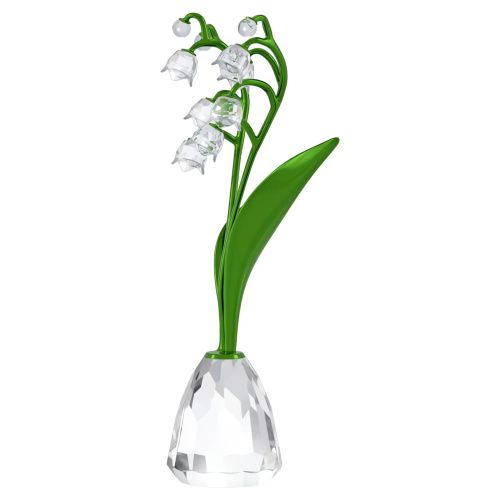 Florere Lily of the Valley