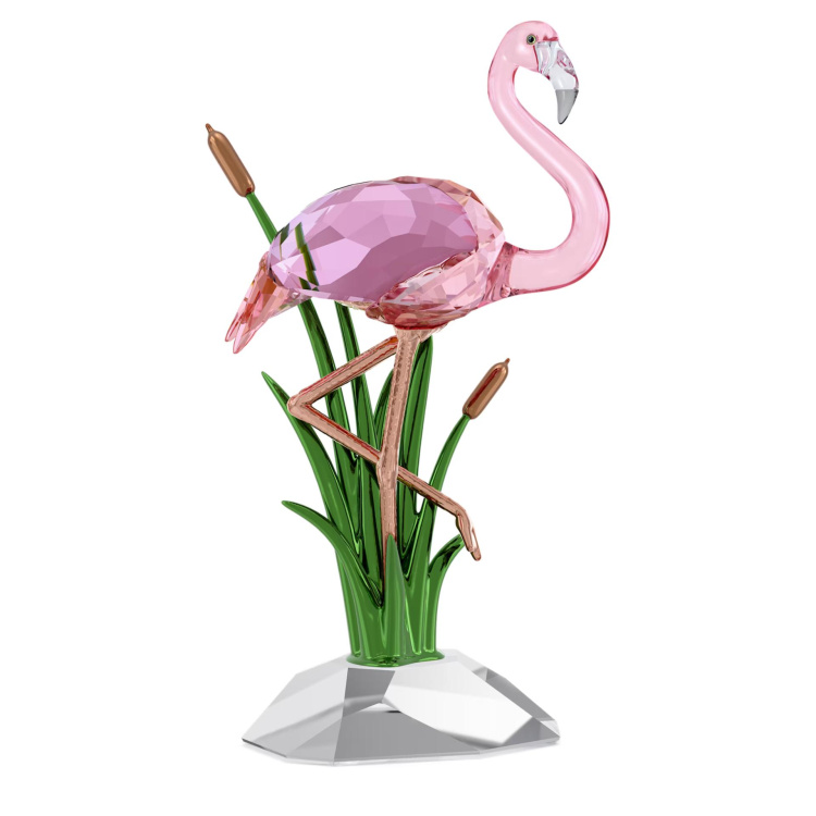 Idyllia Flamingo