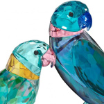 Jungle Beats Parakeet Couple Fife & Fifer